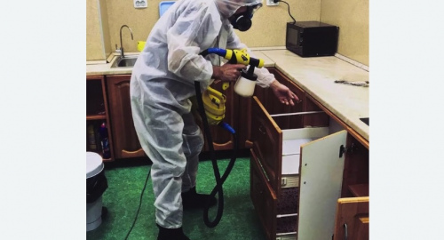Уничтожение насекомых в квартире. Апшеронск