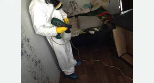 Обработка квартир от насекомых в Апшеронске