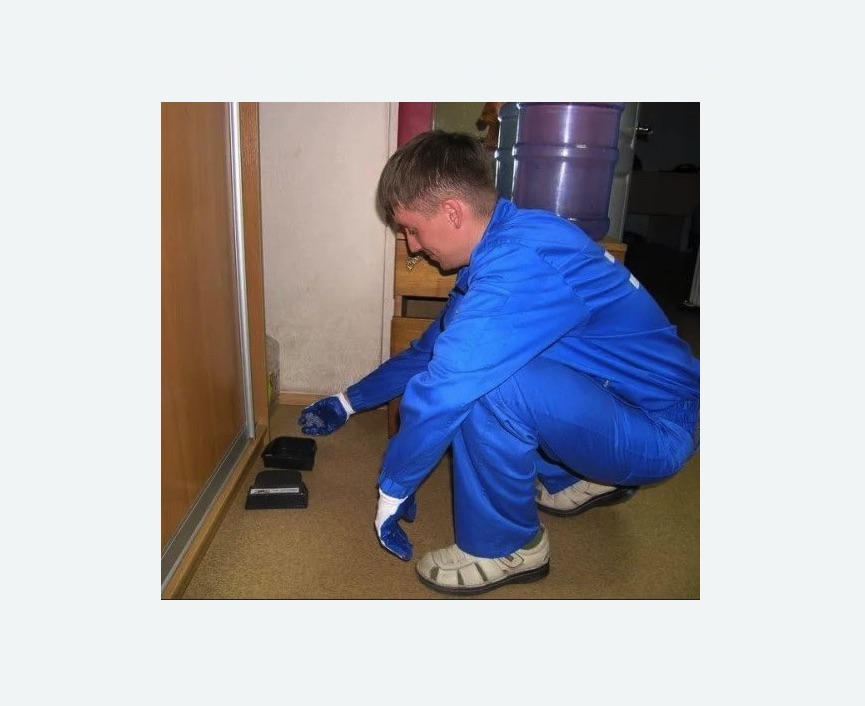 Дератизация крыс в Апшеронске