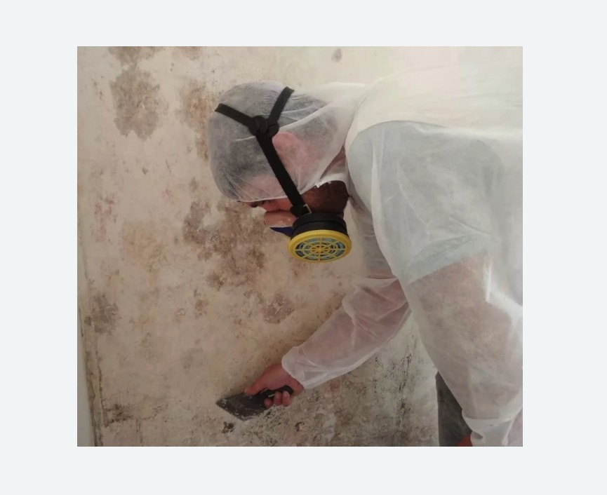 Обработка стен от плесени в Апшеронске